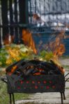 Barbecue dans le jardin - Photo libre