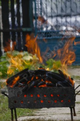 Barbecue dans le jardin - Photo libre de droit - PABvision.com