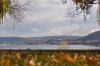 Paysage d'automne