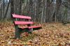 Paysage d'automne