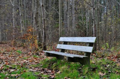 Paysage d'automne - Photo libre de droit - PABvision.com