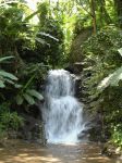 Cascade dans la jungle prs de Chiang Mai