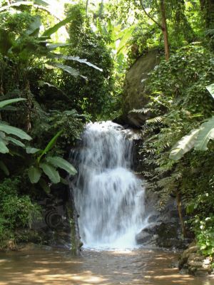 Cascade dans la jungle prs de Chiang Mai - Photo libre de droit - PABvision.com