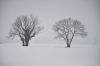 Journ�e d'hiver