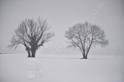 Journe d'hiver - Photo libre de droit - PABvision.com