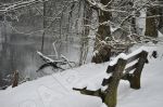 Banc publique en hiver