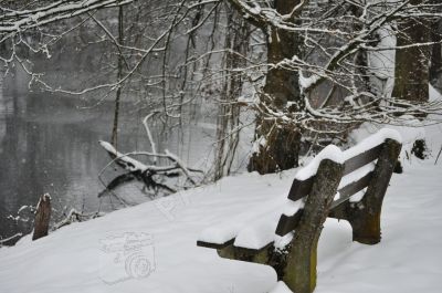 Banc publique en hiver - Photo libre de droit - PABvision.com