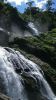 Dans la jungle pr�s de Chantaburi en Thailande