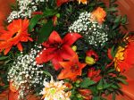 Bouquet de fleurs - Photo libre