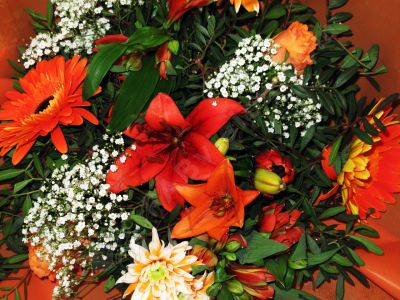 Bouquet de fleurs - Photo libre de droit - PABvision.com