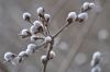 Le printemps arrive