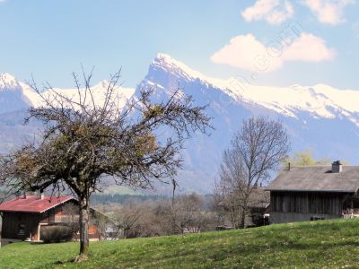 Paysage de printemps - Photo libre de droit - PABvision.com