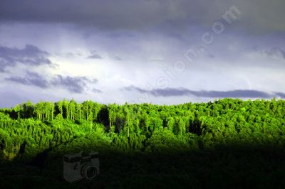 Ciel, nuages et forêts - Photo libre de droit - PABvision.com