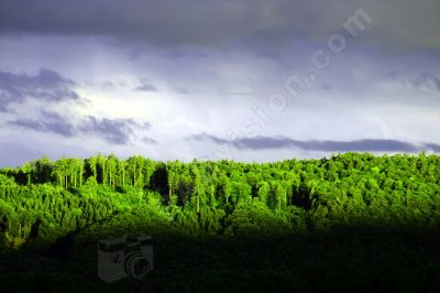 Ciel, nuages et forts - Photo libre de droit - PABvision.com