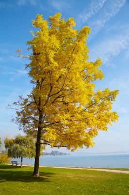 Couleurs d'automne - Photo libre de droit - PABvision.com