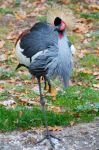 Jardin zoologique de Berlin