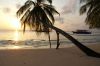 Fihaalhohi Maldives paysage de r�ve