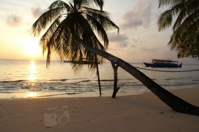 Fihaalhohi Maldives paysage de rêve - Photo libre de droit - PABvision.com